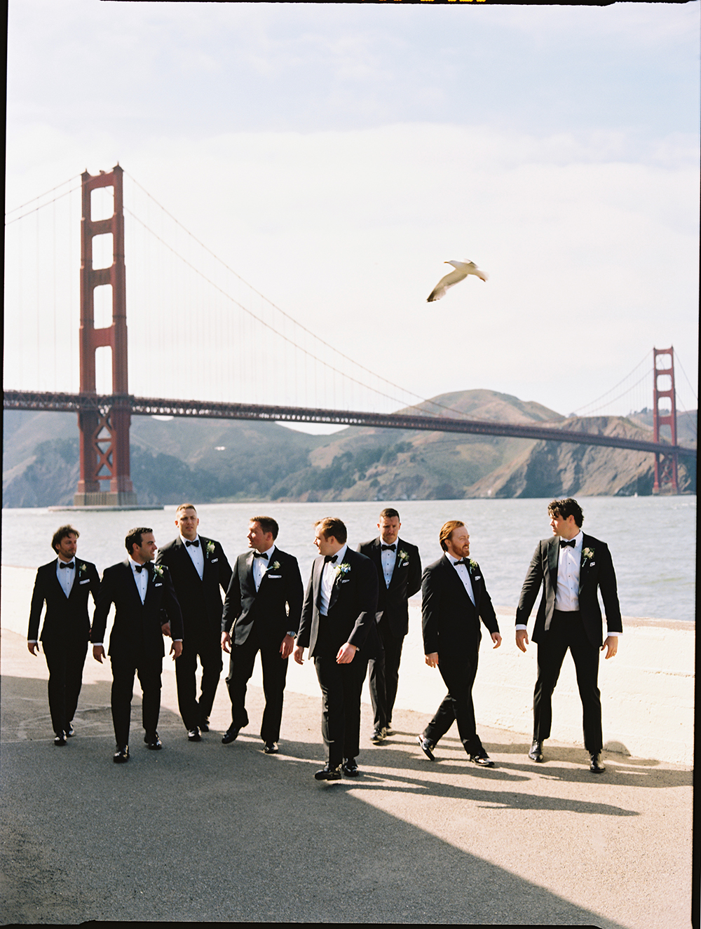 medium format film sample